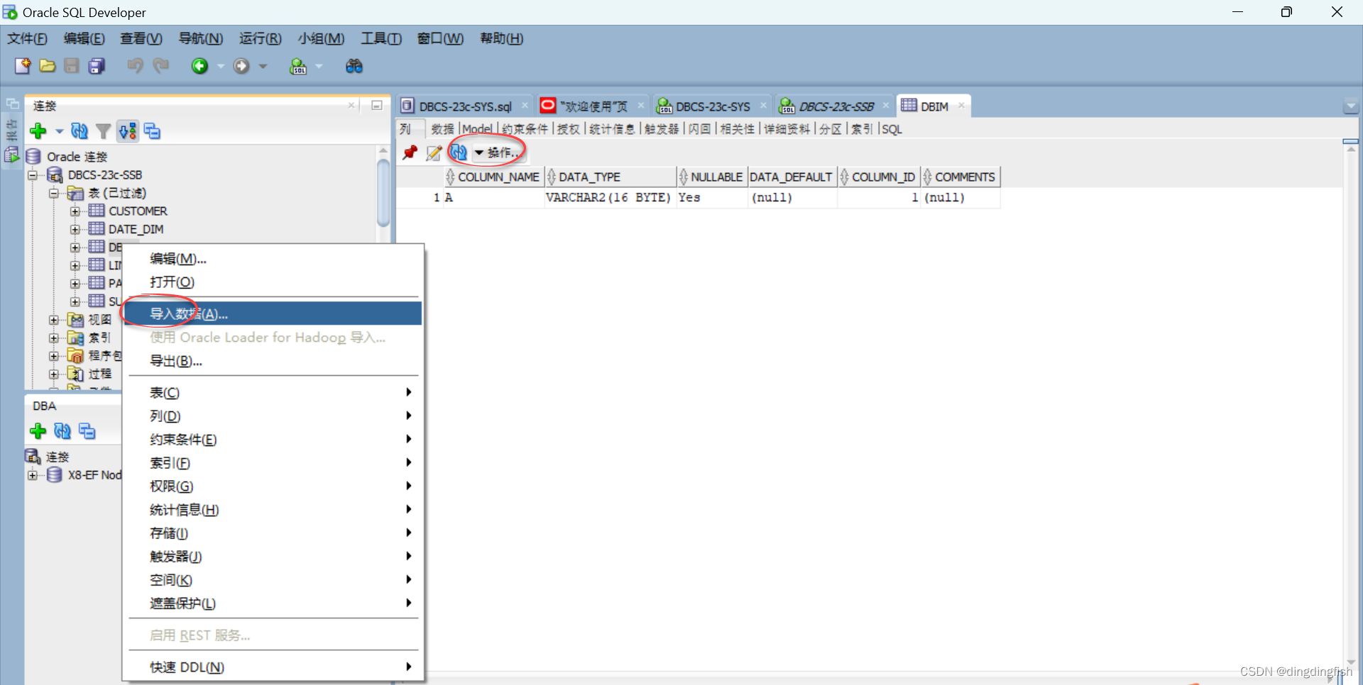 将文本文件导入Oracle数据库的简便方法：SQL Developer