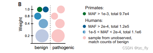 fig1b