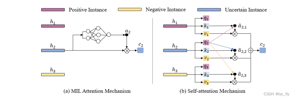 fig1