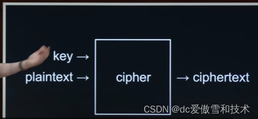 CS50x 2024 - Lecture 2 - Arrays