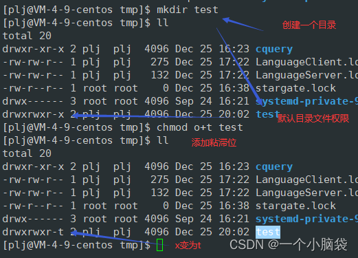 [Linux]——彻底学通权限