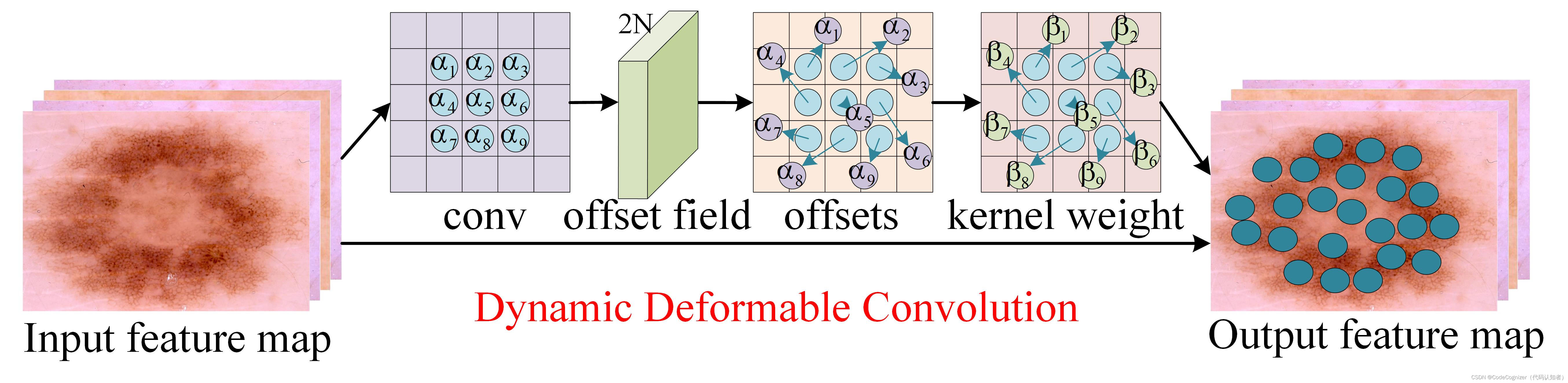 动态可变形卷积示意图