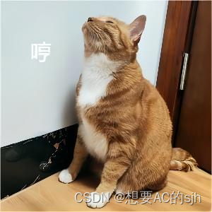 【QED】高昂的猫 Ⅰ