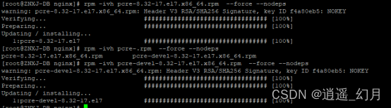 Linux安装nginx(带http ssl)