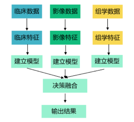 多模态融合算法应用：CT + 临床文本数据 + pyradiomics提取到的图像特征