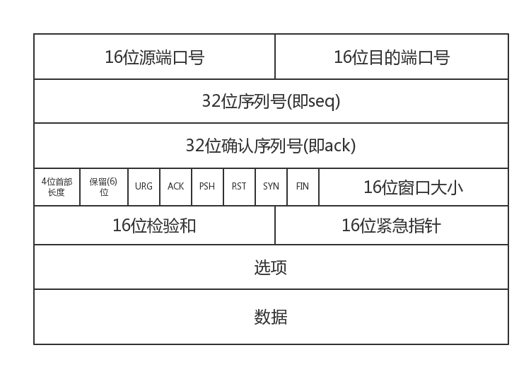 计算机网络的基础知识