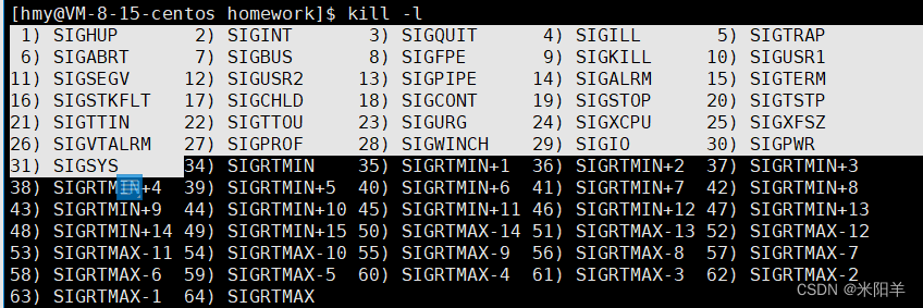 Linux<span style='color:red;'>信号</span><span style='color:red;'>处理</span>