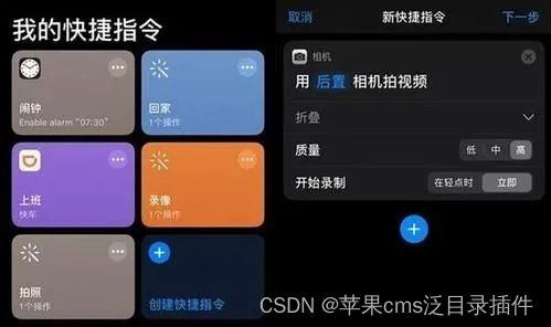 苹果 CMS 与 Maccms：流量神器还是鸡肋？