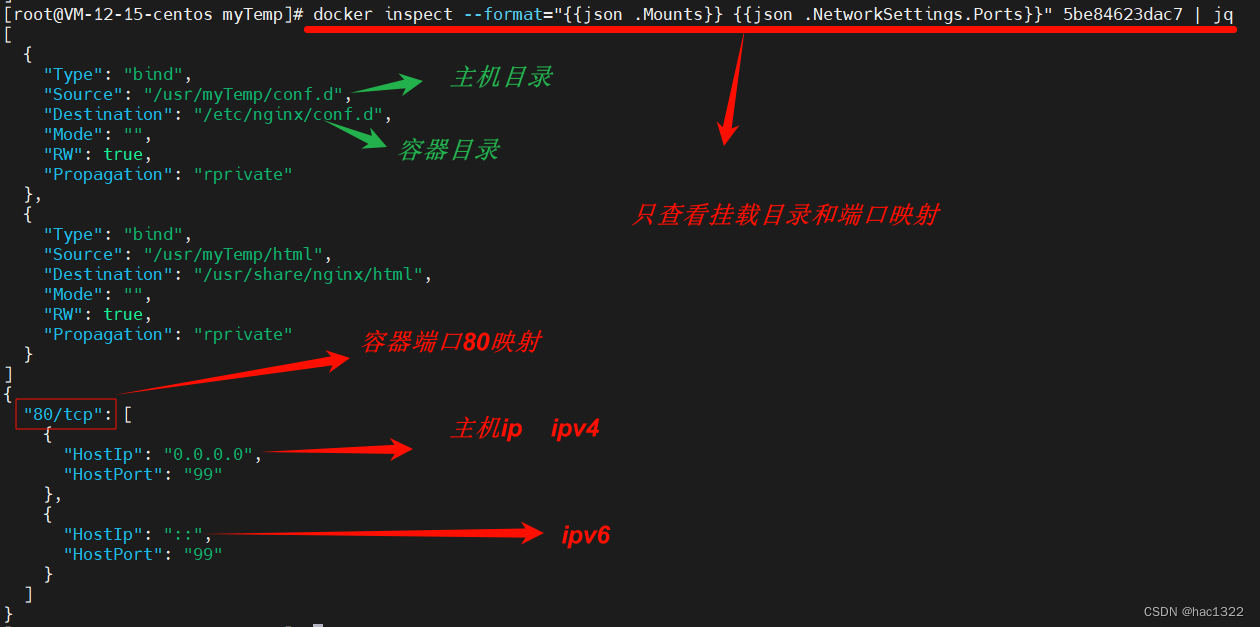 Docker安装Nginx端口映射|挂载目录查看