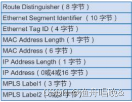 BGP EVPN-Type2、3、5路由