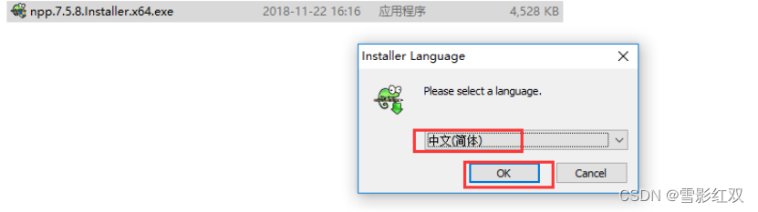 Notepad++软件安装及配置说明