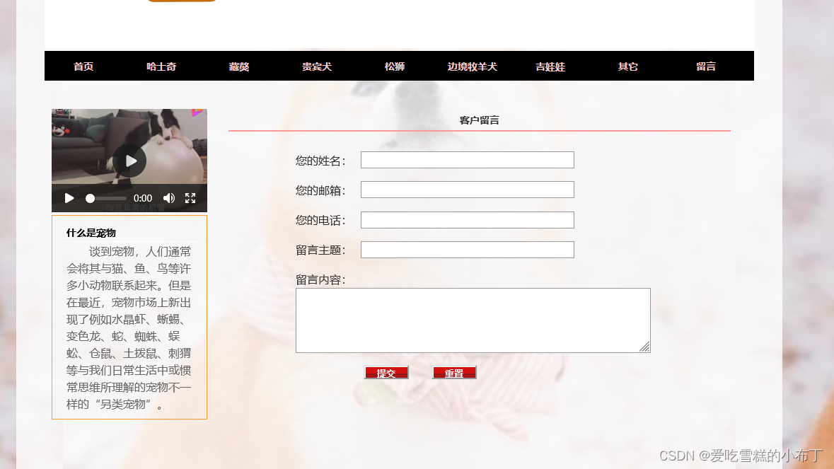 静态网页设计——宠物狗狗网（HTML+CSS+JavaScript）