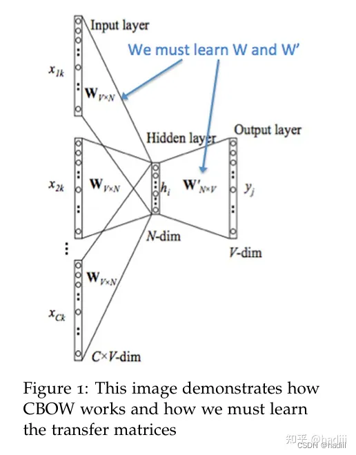 Word2Vec详解： CBOW  Skip-gram和负采样