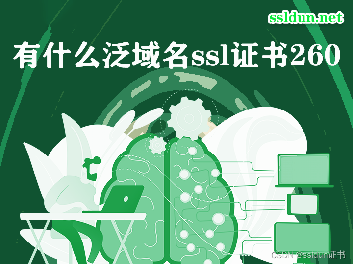 有什么泛域名ssl证书260