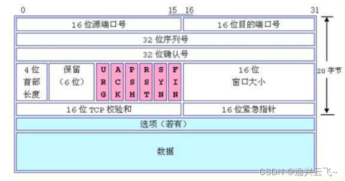 传输协议TCP-原理部分