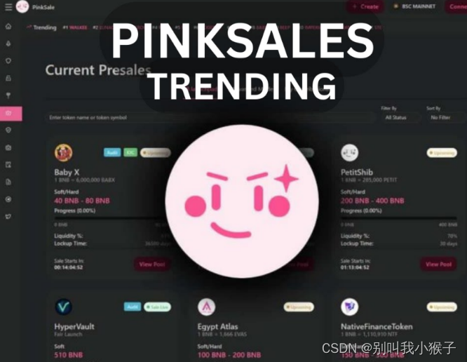 粉红锁界的新星——PinkSale：金融产品的全方位保护者