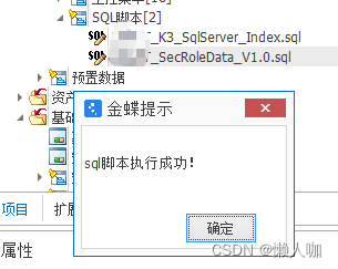 金蝶云星空协同开发环境应用内执行SQL脚本