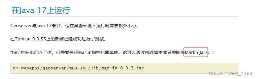 【GIS】JDK版本升级到17后，GeoServer的图层无法通过openLayer预览