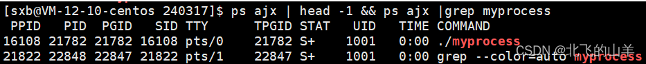 【Linux】对进程PCB的理解查看进程信息的方法