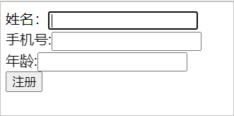 零基础HTML教程(26)--表单元素标注