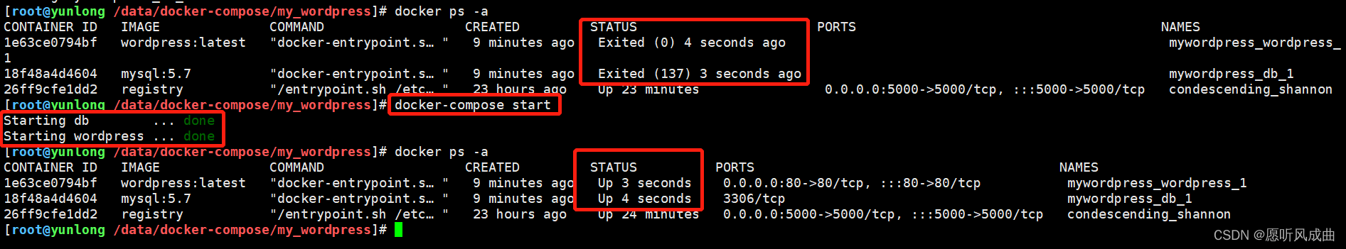 15.docker-compose(单机版的容器编排工具)