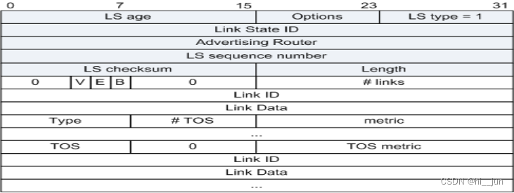 Router-LSA