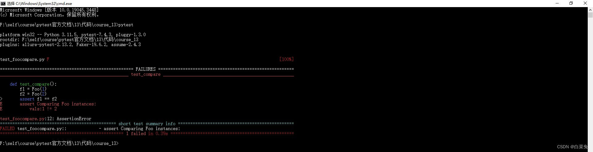 13、pytest为失败的断言定义自己的解释