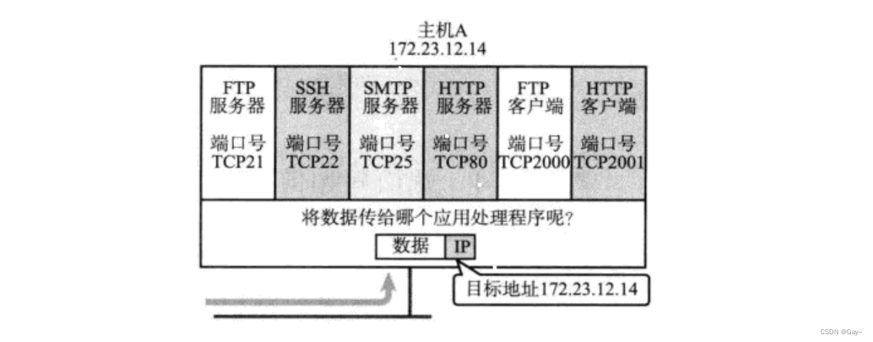 网络协议栈--传输层--UDP/TCP协议