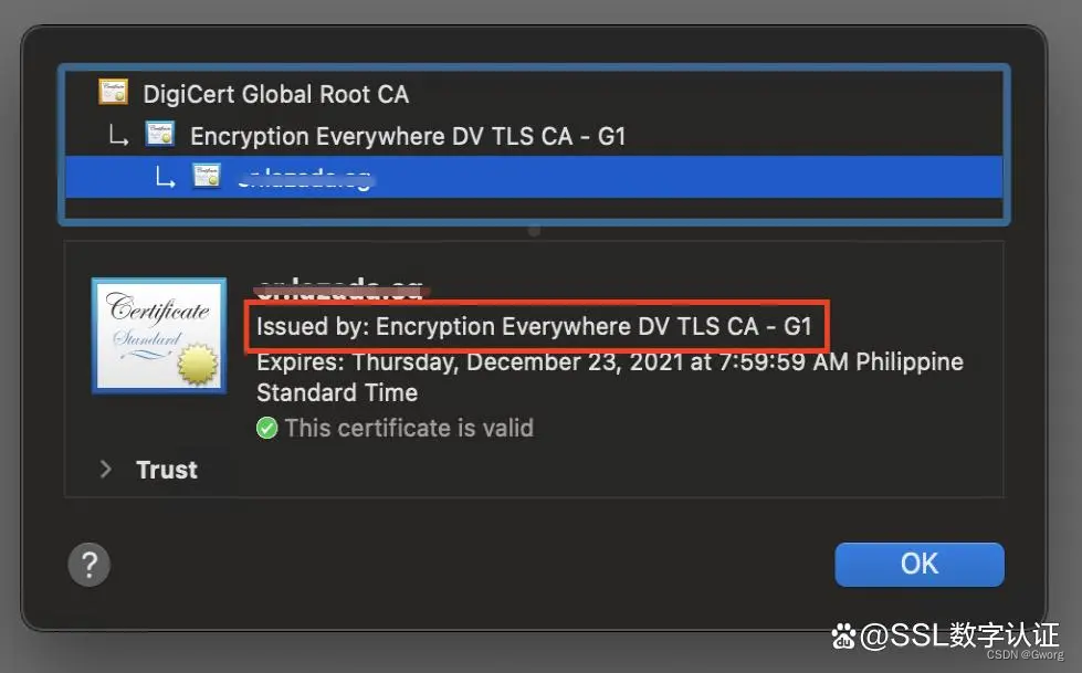 Encryption Everywhere DV TLS CA - G1