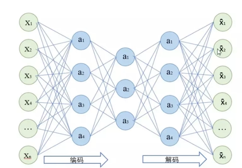 加粗样式