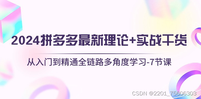 2024拼多多 最新理论+实战干货，从入门到精通全链路多角度学习-7节课