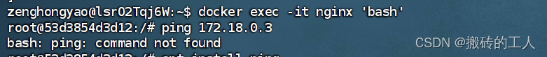 ubuntu docker 进入容器内使用ping 指令,提示bash: ping: command not found问题