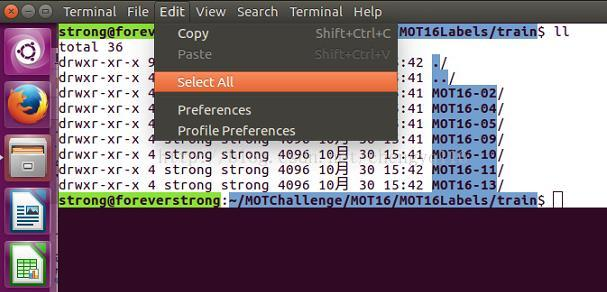 Ubuntu Desktop - Terminal 输出全部选中 + 复制