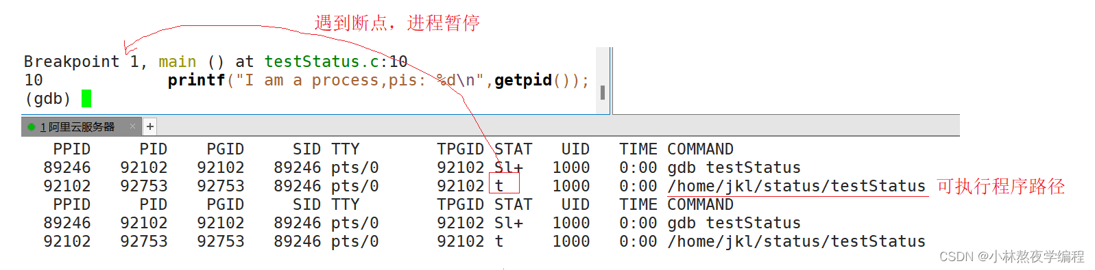 【Linux系统编程】第十八弹---进程状态(上)