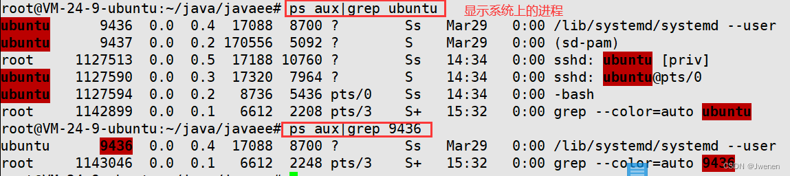 【Linux】常见命令