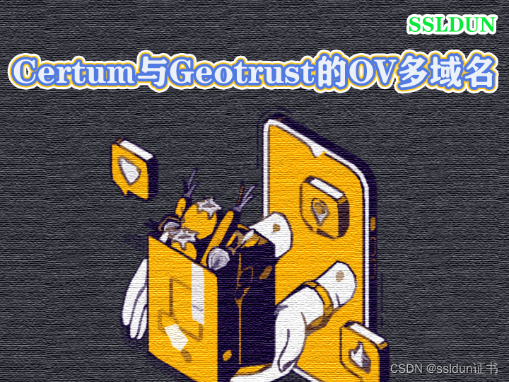 Certum与Geotrust的OV多域名证书