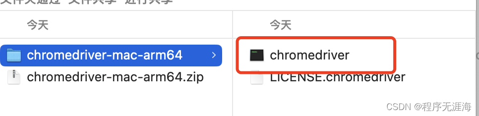 selenium执行出现异常，SessionNotCreatedException ChromeDriver only supports