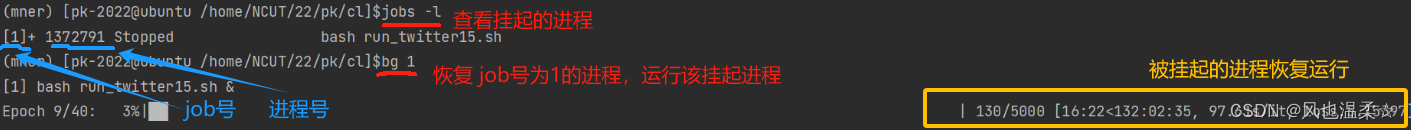 Linux中Ctrl+C和Ctrl+Z的区别_实战讲解(超详细)