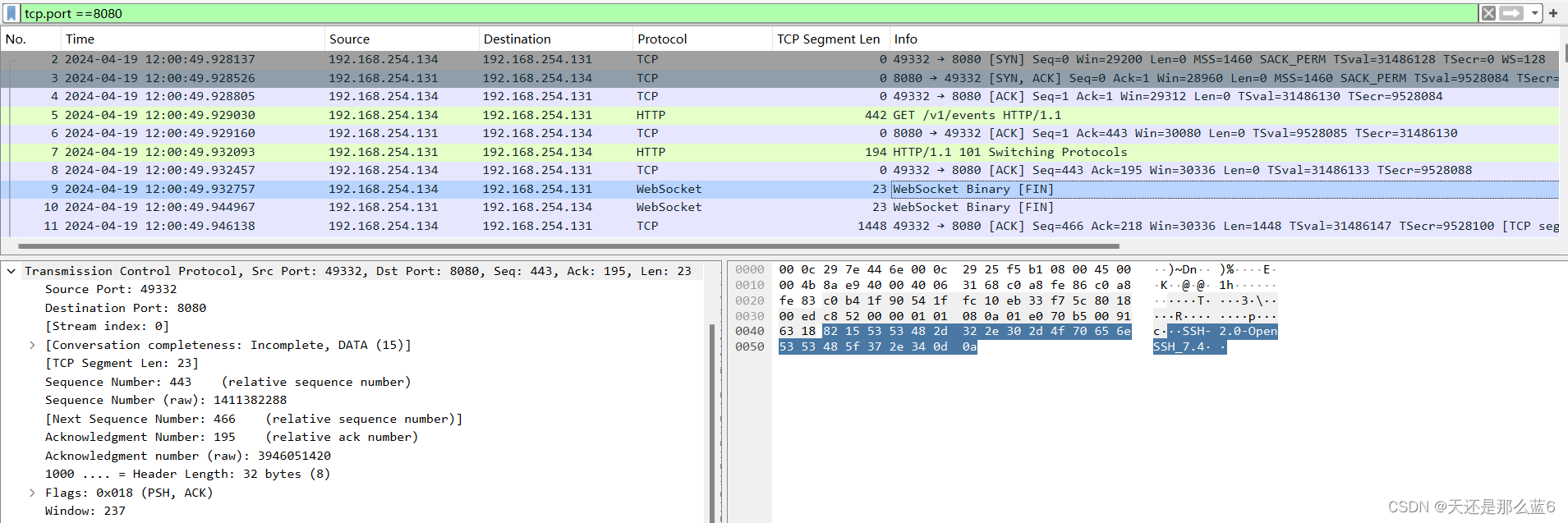 wstunnel (websocket模式ssh)