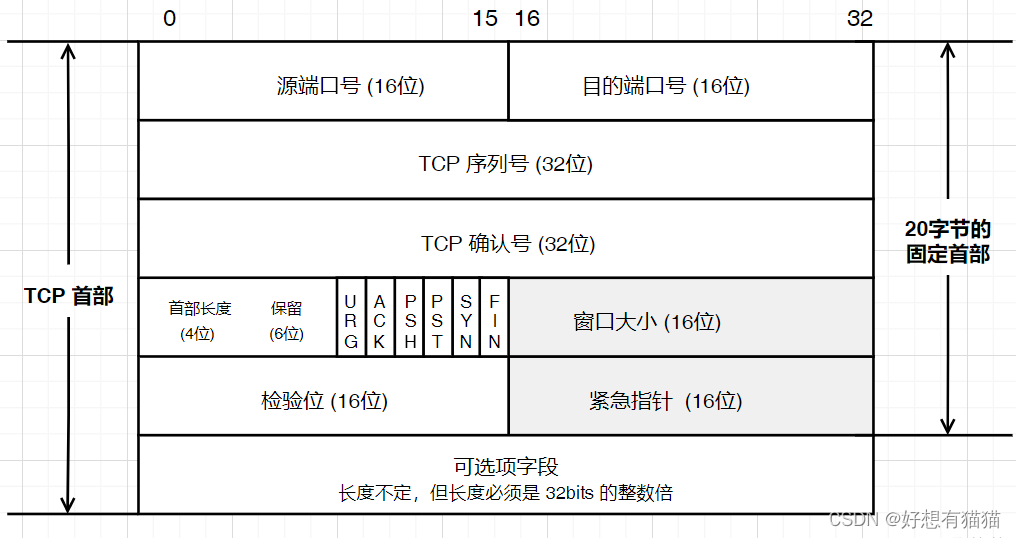 【计算机网络】TCP协议——1.报文格式详解