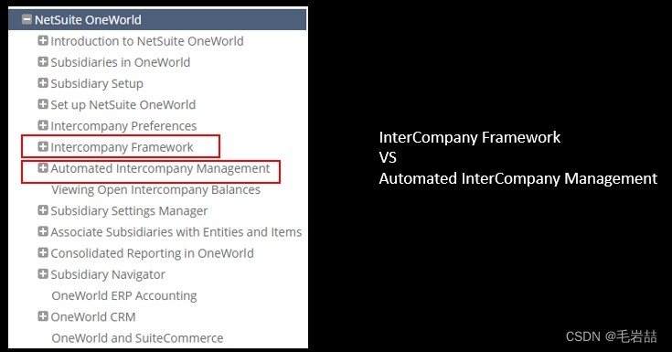 NetSuite Intercompany Framework 101