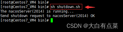 重新运行看看效果，使用命令 sh shutdown.sh 是关闭 Nacos Server 