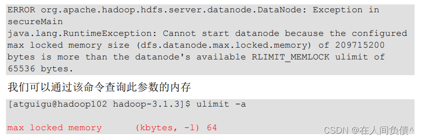 Hadoop 3.x（生产调优手册）----【HDFS--存储优化】