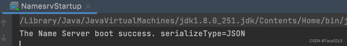 The Name Server boot success. serializeType=JSON