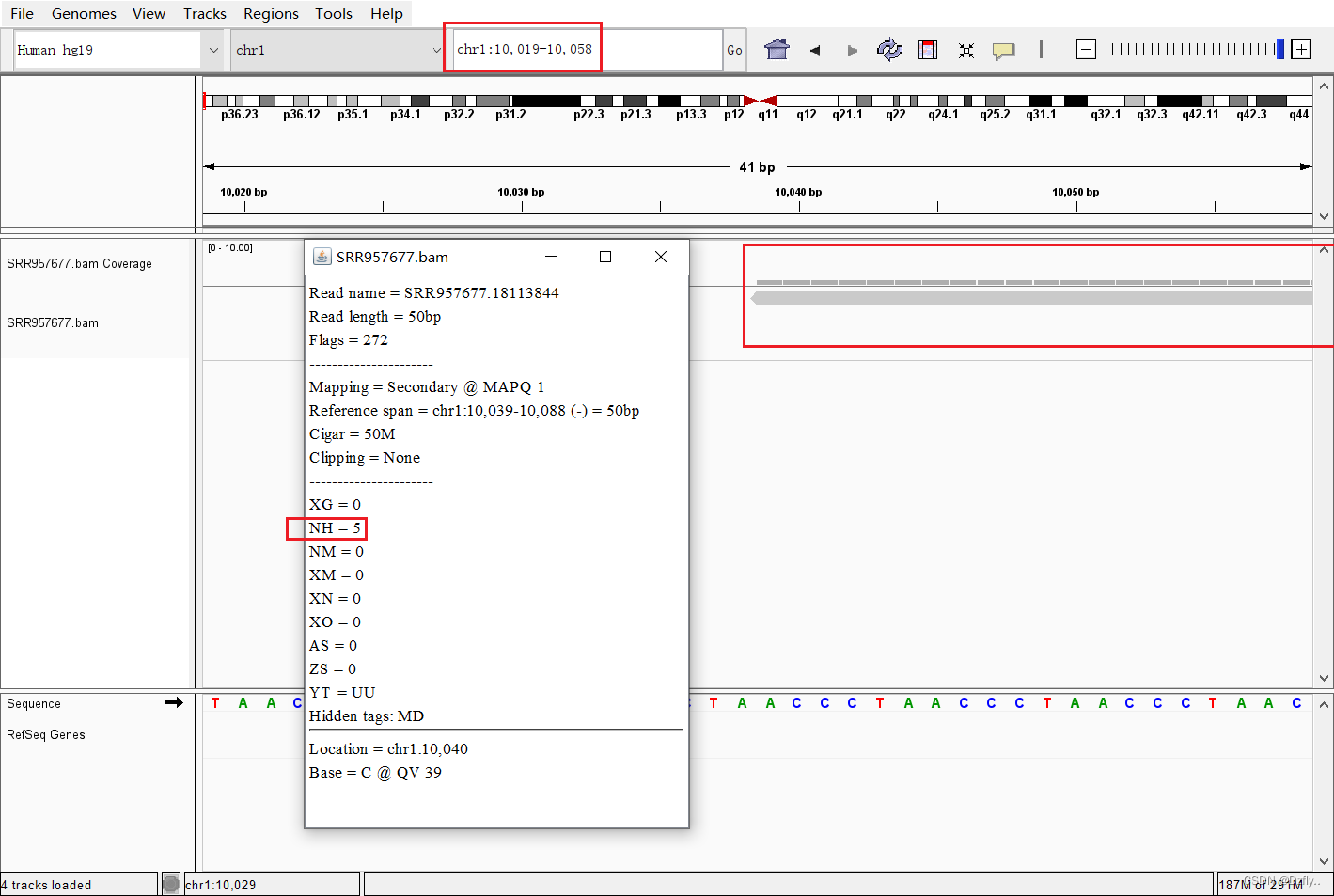 RNA-seq——三、使用Hisat2进行序列比对