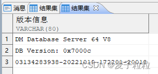 windows上DM8执行结果