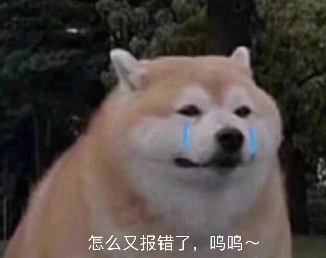 盘点微信小程序支付遇到的错误_com.wechat.pay.java.core.exception.decryptionexcep-CSDN博客