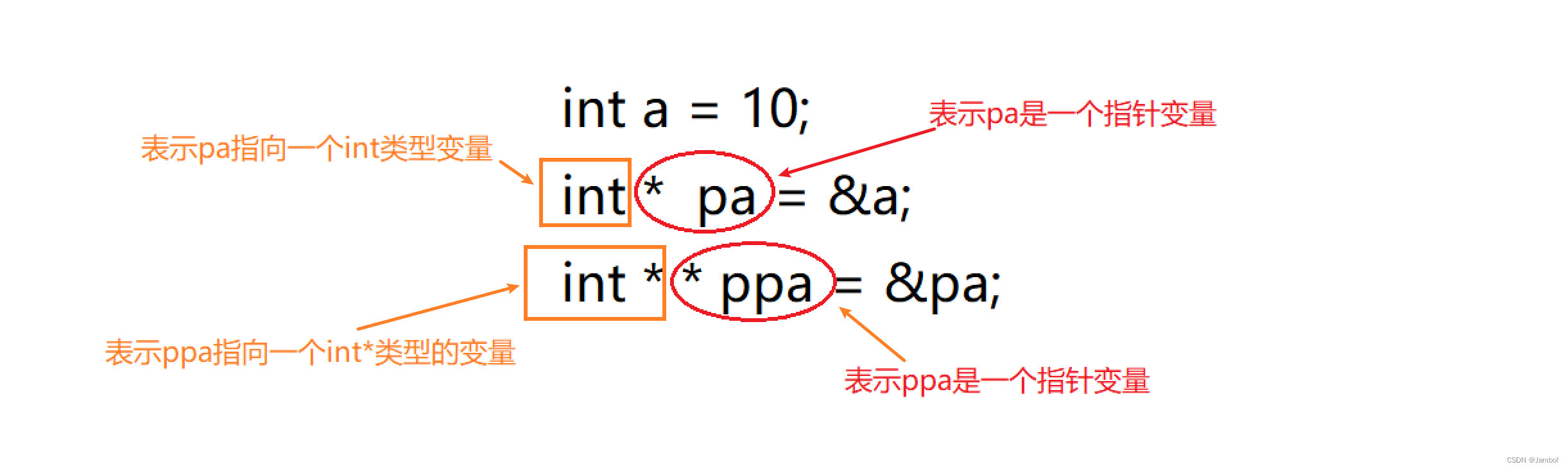 初阶指针详解✍