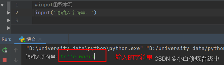 python的input函数用法