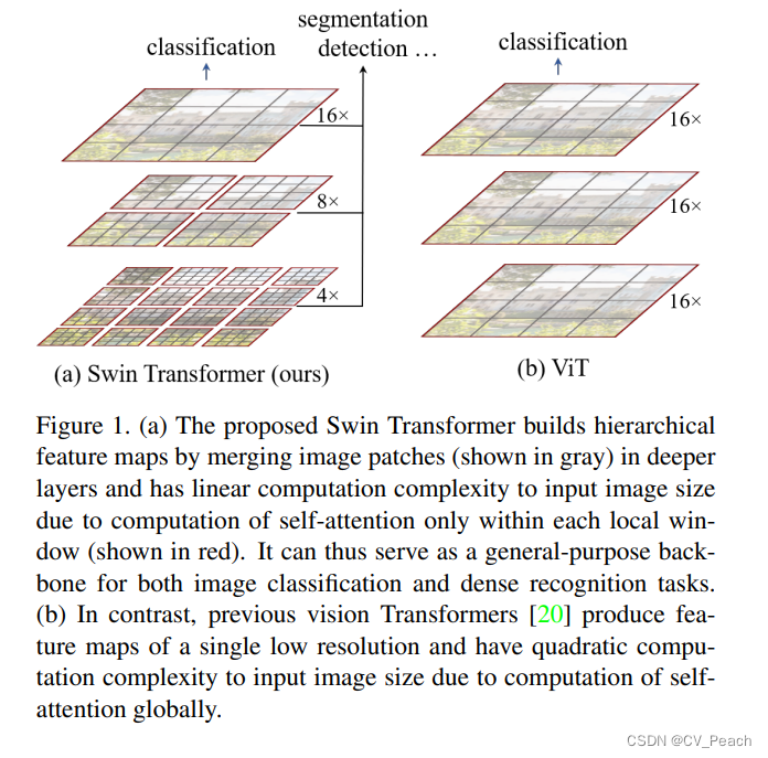 Swin Transformer and Vit